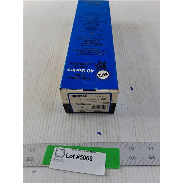 Watts T&P 1" Temperature and Pressure Relief Valve