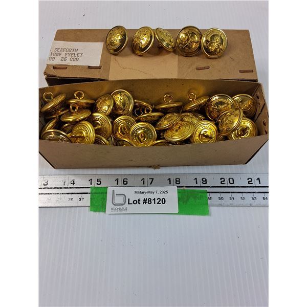 Box of 100 Seaforth Highlander Brass Buttons- Sealed