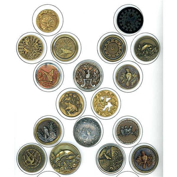 A card of assorted Division one bird buttons