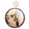 Image 3 : A division three pictorial studio artist button