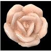 Image 1 : A scarce division one carved shell realistic button