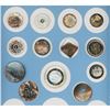 Image 1 : A partial card of division 1 pearl buttons