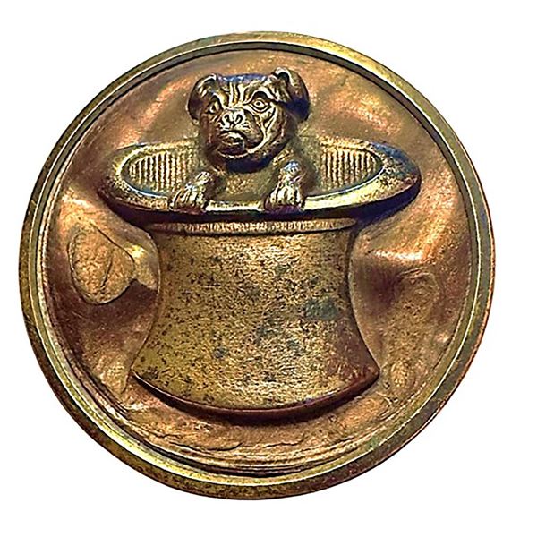 A scarce division one brass pictorial animal button