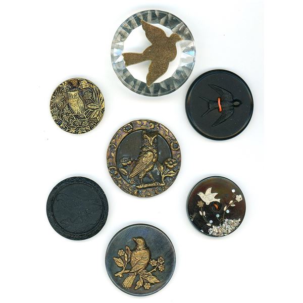 A small card of division 1 & 3 Bird Buttons