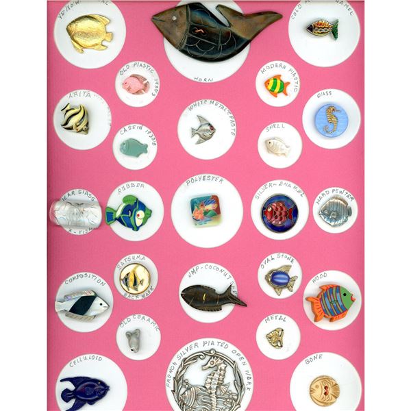 A card of division three assorted fish buttons
