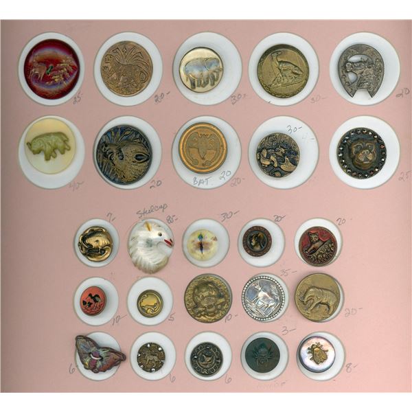A partial card of division 1 & 3 animal buttons
