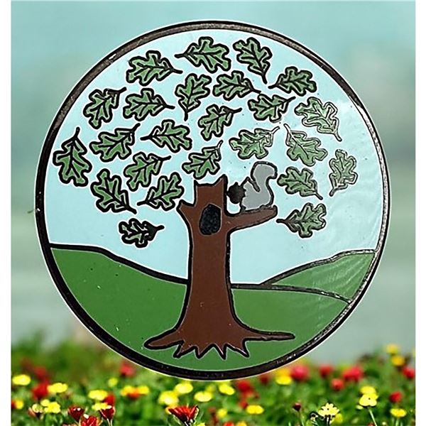 A division three pictorial enamel button