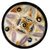 Image 4 : A partial card of division one pearl buttons