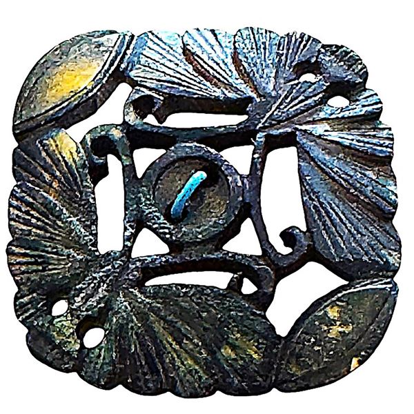A scarce division one dyed natural material button