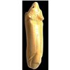 Image 2 : A division one Natural Material realistic animal button