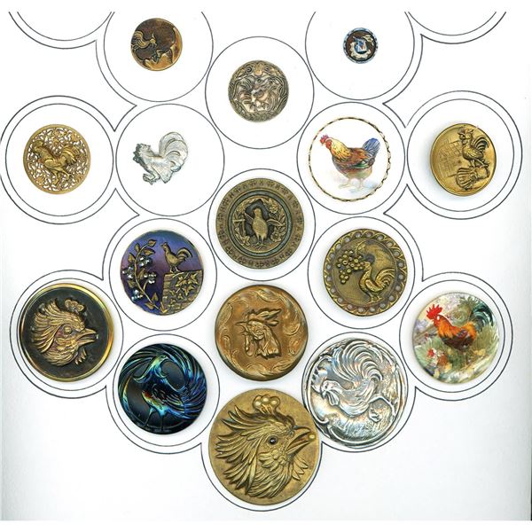 A partial card of division 1 & 3 Rooster buttons