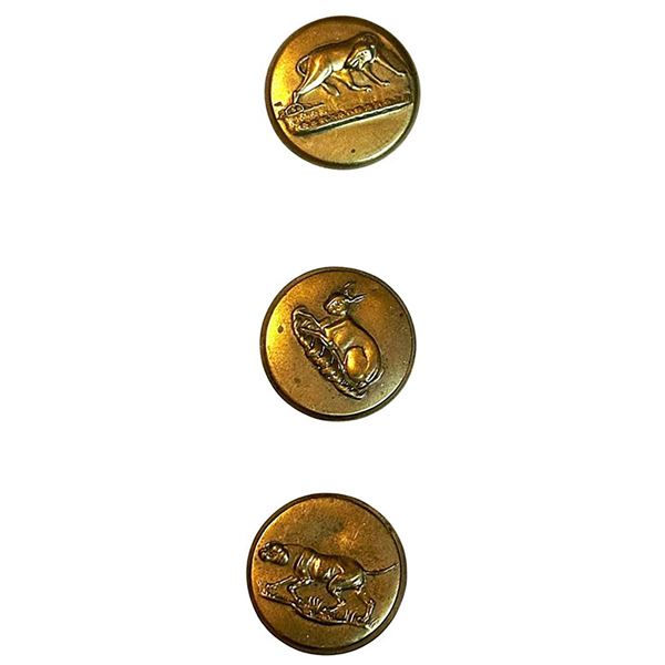 A small card of sporting hunt buttons.