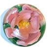 Image 3 : A small card of division three studio artist buttons