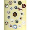 Image 1 : A card of division one assorted DOG buttons