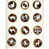 Image 1 : A set of division three Zodiac Buttons