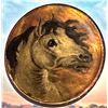Image 1 : A very RARE division one sporting button