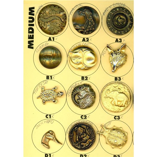 A partial card of division ! & 3 pictorial buttons