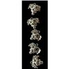 Image 1 : A small card of division three Mexican silver buttons