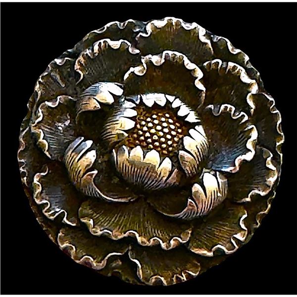 A division one silver realistic pictorial button
