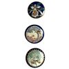 Image 1 : A small card of Japanese Satsuma buttons