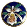 Image 4 : A small card of Japanese Satsuma buttons