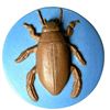 Image 3 : A small card of division three Studio artist buttons
