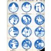 Image 1 : A card of division three Studio artist buttons