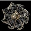 Image 1 : A division three spider on a web button