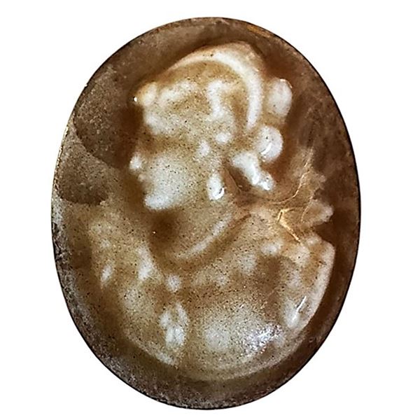 A division one French porcelain pictorial button