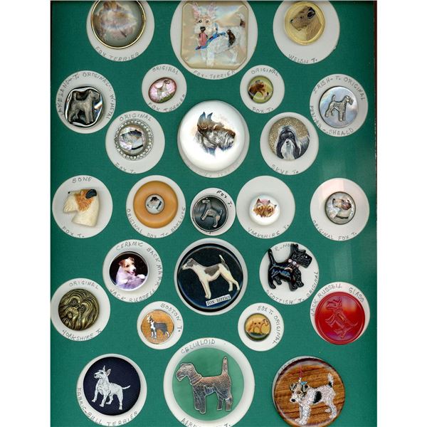 A card of division three assorted material Dog buttons