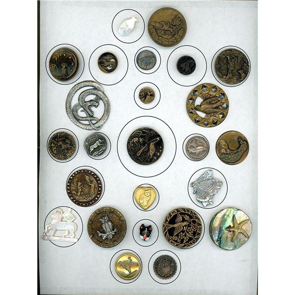 A card of division 1 & 3 assorted animal life buttons