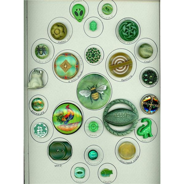 A card of division three buttons specialized to Green