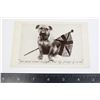 Image 1 : #329 WW1 BRITISH BULLDOG PATRIOTIC UNION JACK CARD