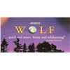 Image 2 : #739  1994 WOLF MOVIE POSTER JACK NICHOLSON 40X26