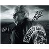 Image 1 : Ron Perlman signed photo