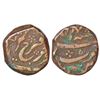 Image 1 : Mughals: Farrukhsiyar (1713-1719 AD), copper dam, Parenda mint, RY Ahd, 13.59g.