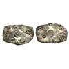 Image 1 : Archaic Coinage, Punch Marked, attributed to Magadha Mahajanapada(c. 600-400 BC),Patna Region (Bihar