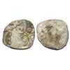 Image 1 : Archaic Punch Marked, attributed toKosala Janapada(c. 525-465 BC), Silver Karshapana, 2.84Grms.