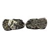 Image 1 : Punch-Marked, Archaic Coinage, Surasena Janapada (c. 400-350 BC). Silver Â½ Karshapana, 1.52Grms.