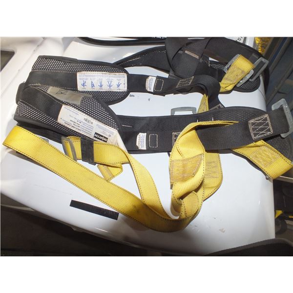 30 Fall Arrest Harnesses