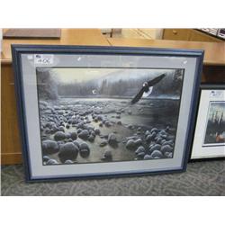 eagle Over Water Print By Kevin Daniel