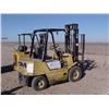 Image 2 : TCM FG25NI Forklift