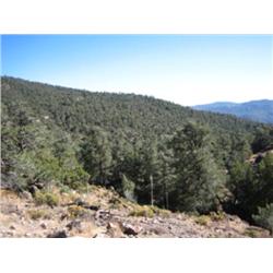 156.36± Acres - Tehachapi, CA