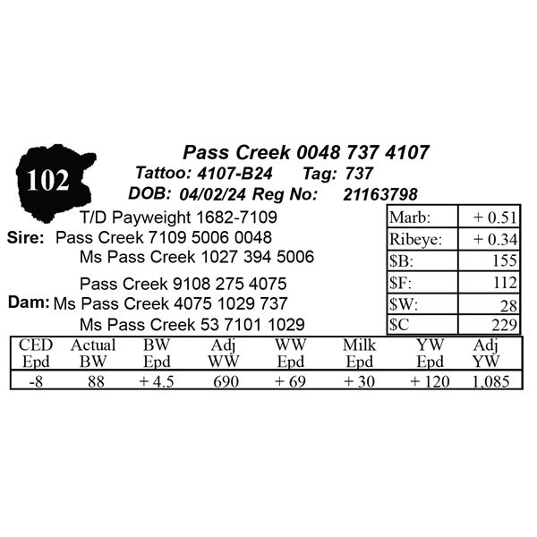 Pass Creek 0048 737 4107