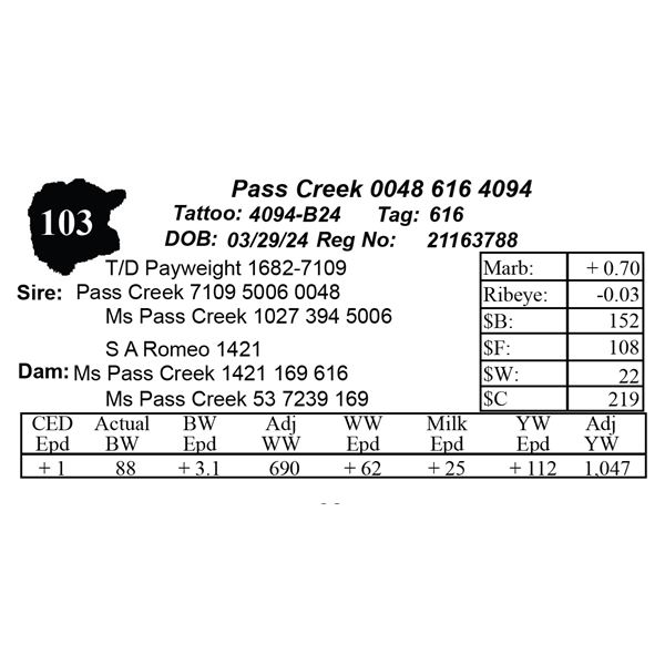 Pass Creek 0048 616 4094