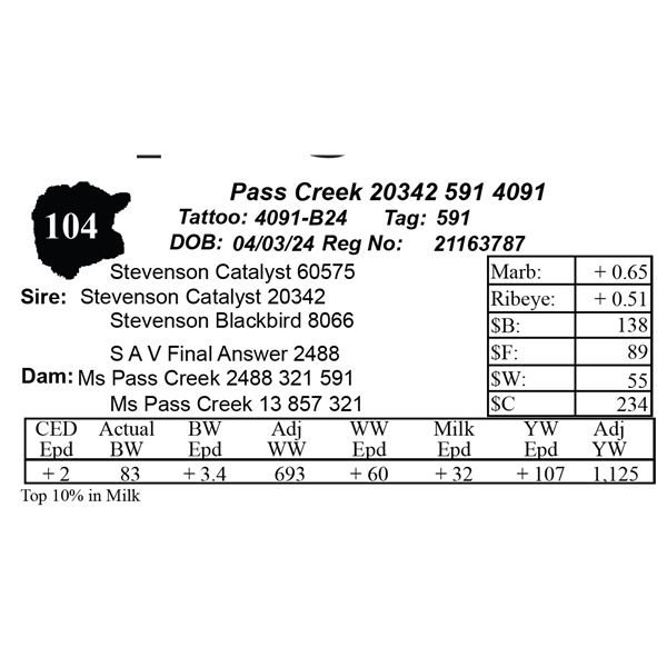Pass Creek 20342 591 4091