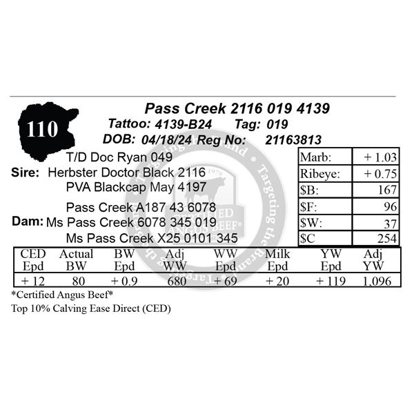 Pass Creek 2116 019 4139