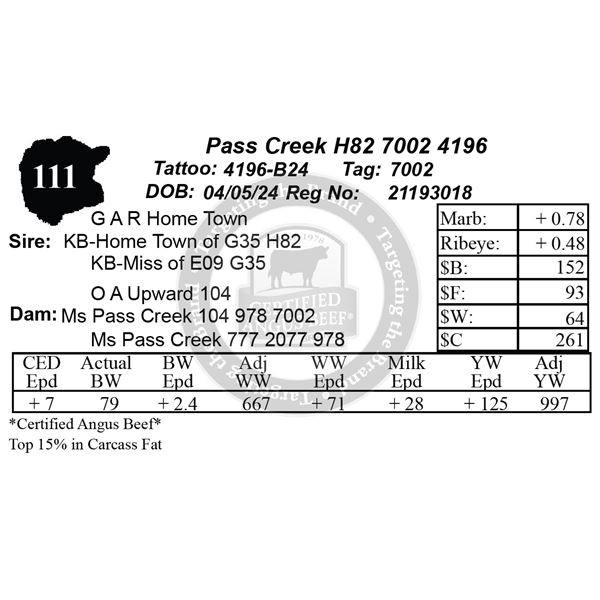 Pass Creek H82 7002 4196
