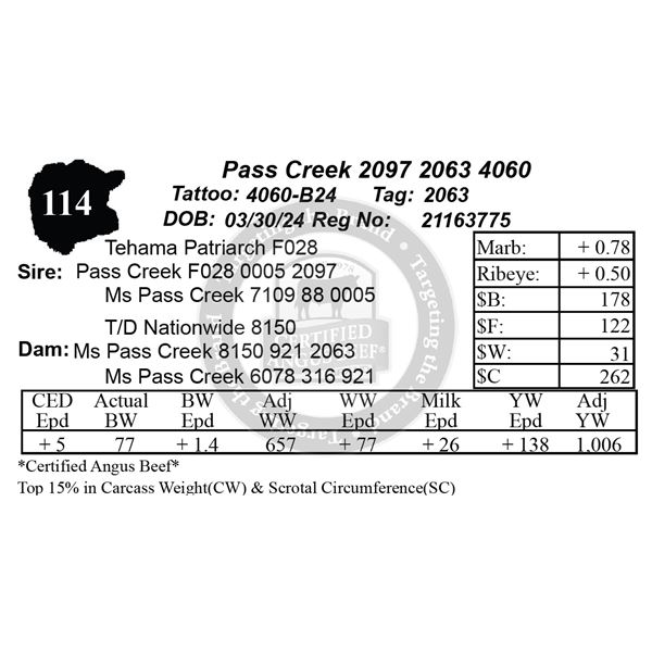 Pass Creek 2097 2063 4060