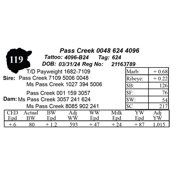 Pass Creek 0048 624 4096